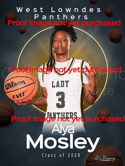 West Lowndes Banners 25-26